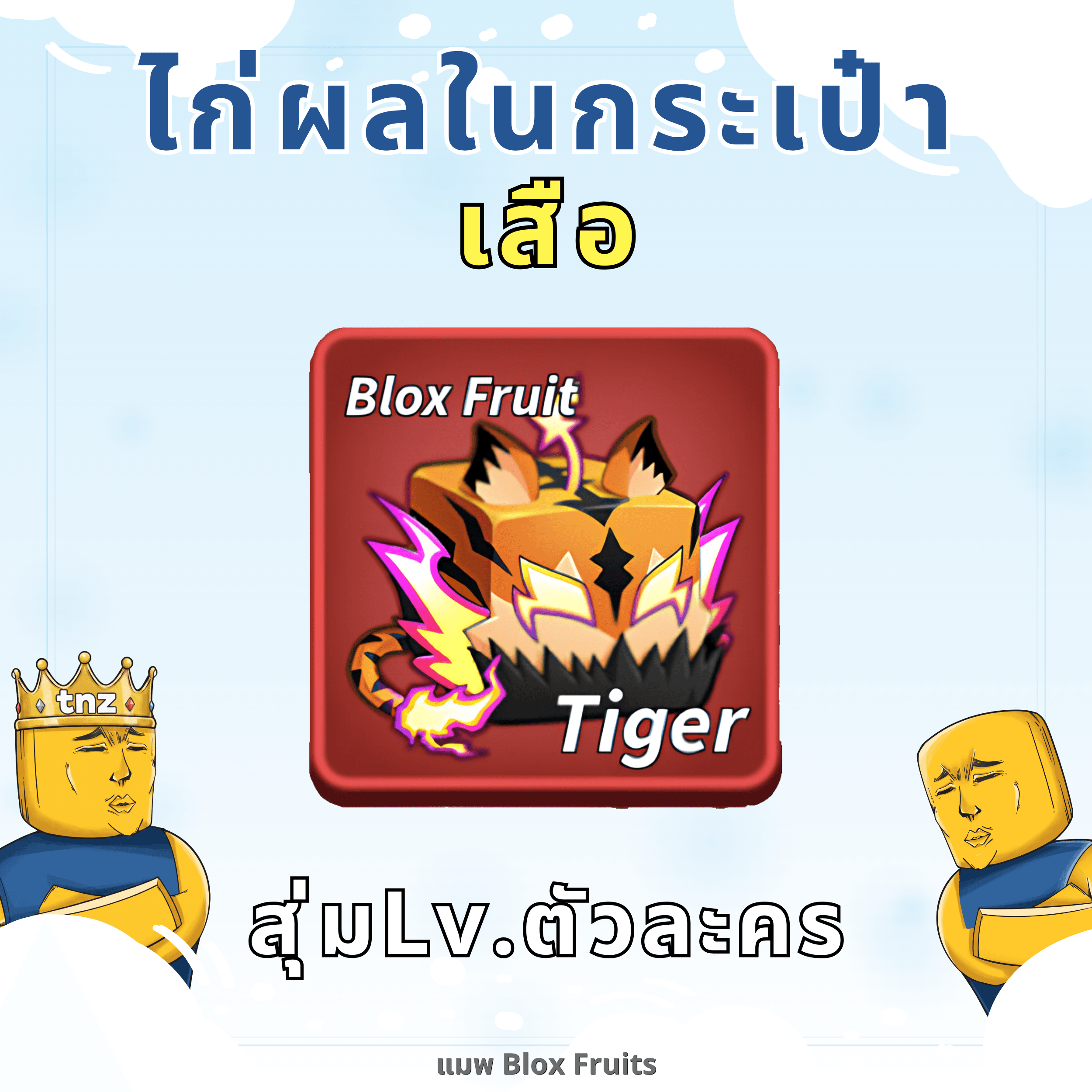ไก่ผลในกระเป๋า เสือ