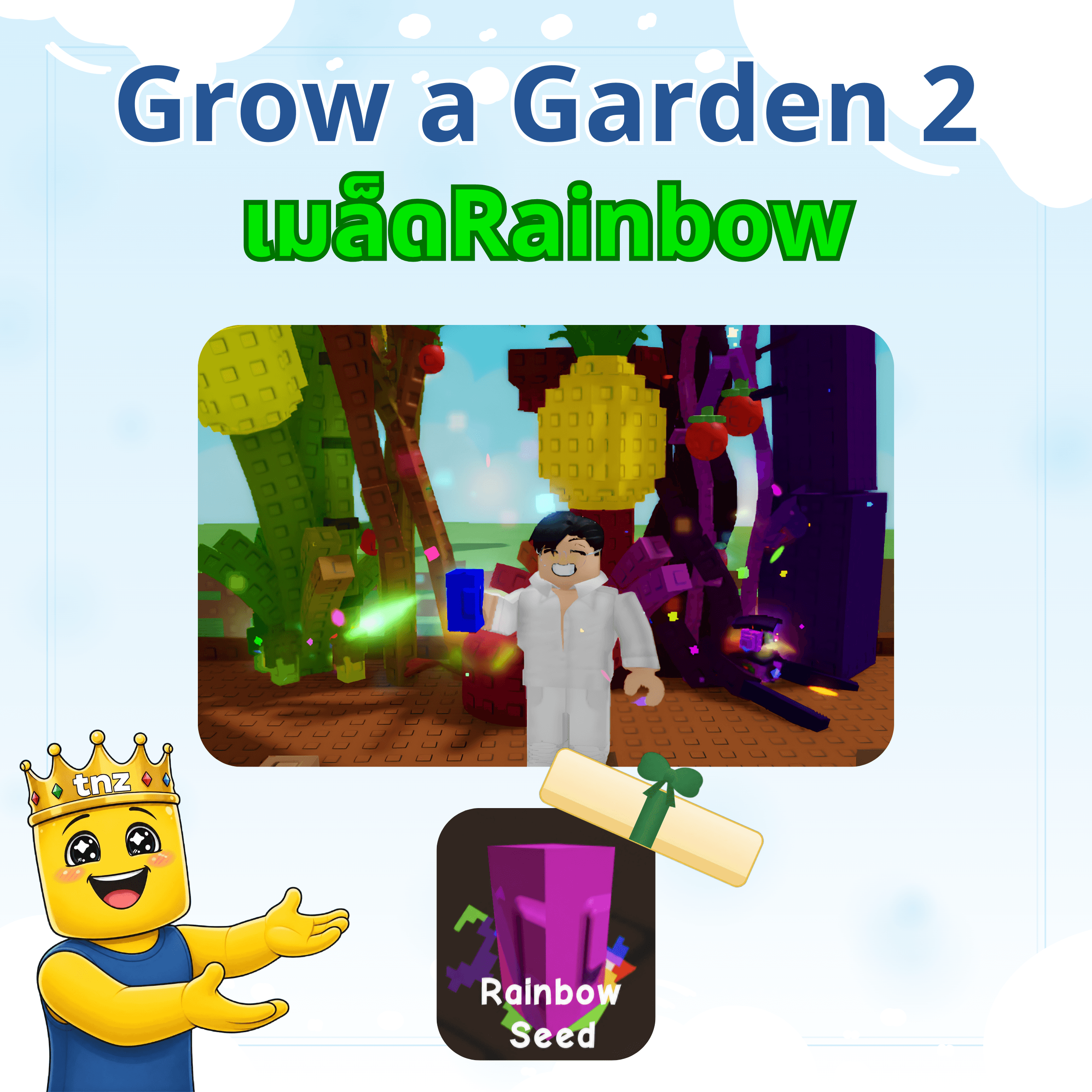 เมล็ดRainbow